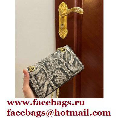 Dolce  &  Gabbana Calfskin 3.5 Chain phone bag Python Print